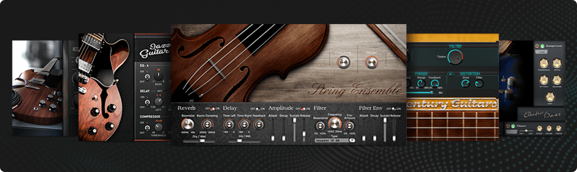 6 Plucked String And Bowed String Instruments