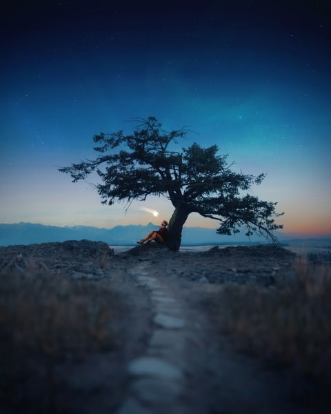 © Joel Robison