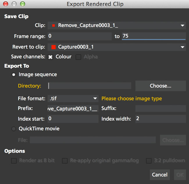 export rendered clip