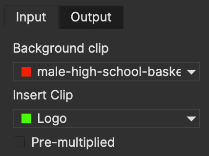 insert input