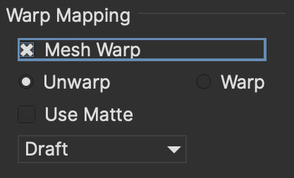 warp mapping parameters