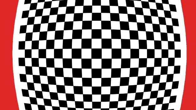 A black and white checkered surface  Description automatically generated with low confidence