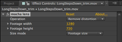 lens pastelensdata ae