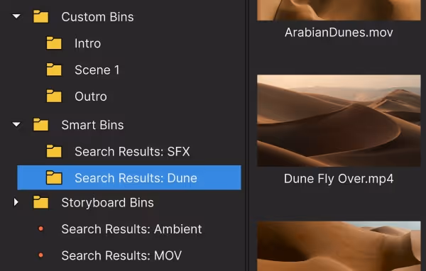 Project Media window with Custom, Smart and Storyboard bins ('Search Results: Dune' selected) beside desert-dune clip thumbnails such as ArabianDunes.mov and Dune Fly Over.mp4.