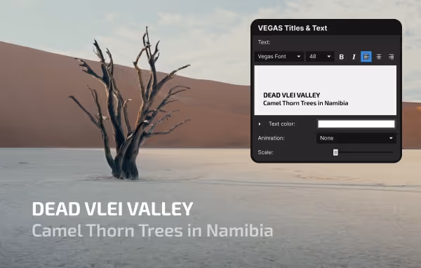 A dead camel thorn tree standing in the salt pan of Dead Vlei Valley with desert dunes in the background and a photo editing interface overlay about Vegas Titles & Text.