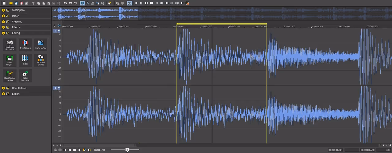Audio editing software interface showing waveform with selected section highlighted and various editing tools on the left panel.