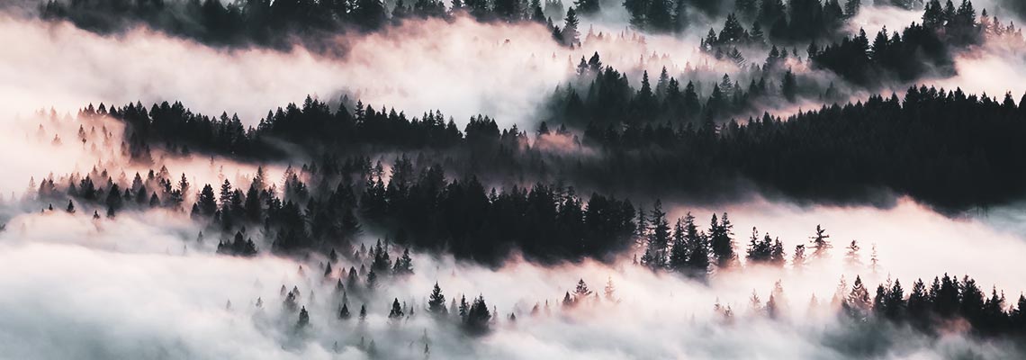 LUTs (Lookup Tables) are a kind of color filter you use to alter the colors in your image. They apply predetermined sets of mathematical formulas to your video’s existing colors to change those colors and achieve a desired result.