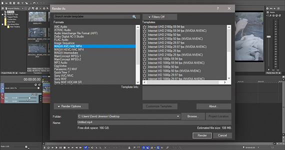 Step 3: Align Videos