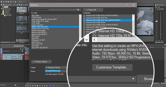 Step 4: Render Video