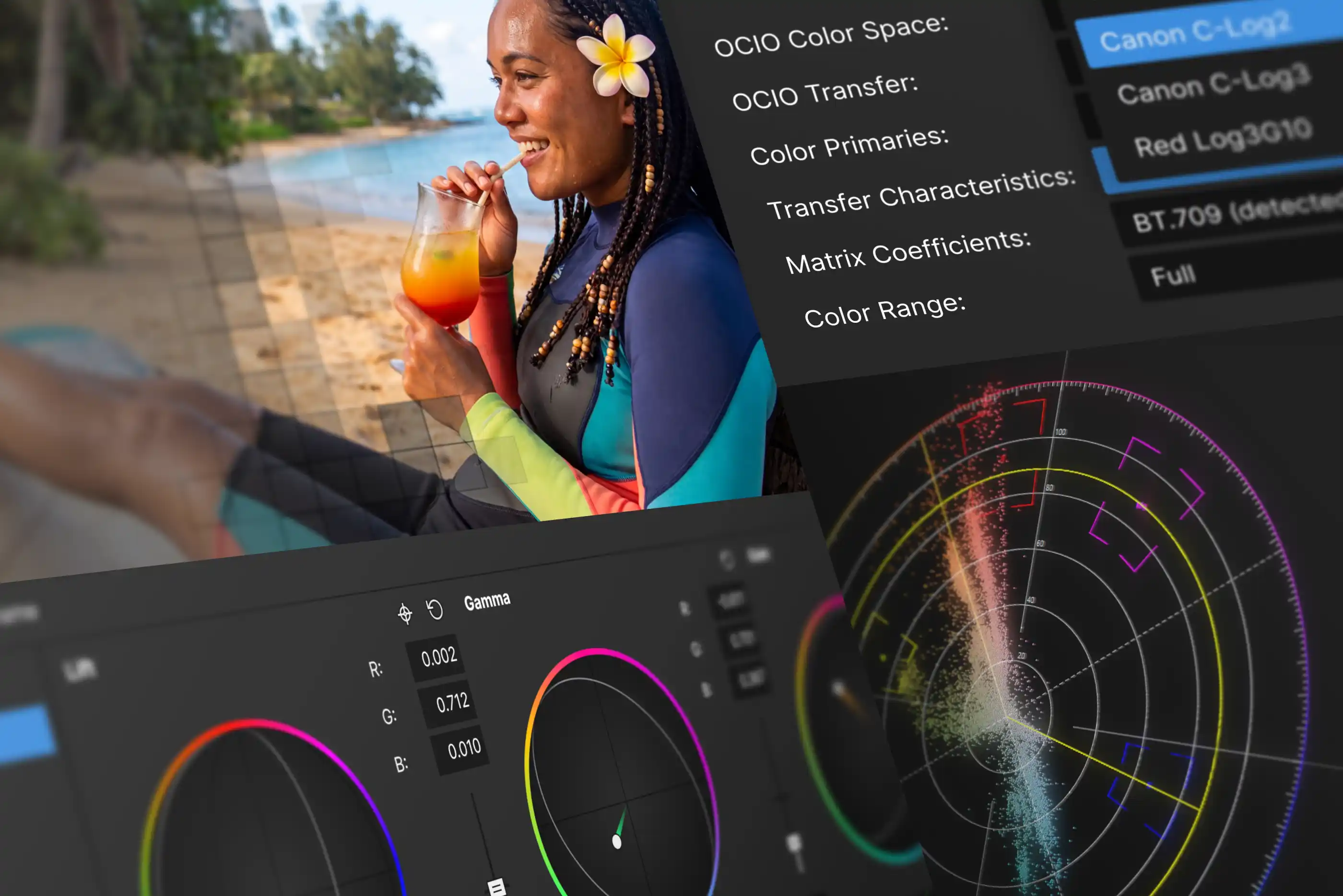 Beach portrait beside OCIO color-space settings, color wheels and a vectorscope in Vegas Pro.