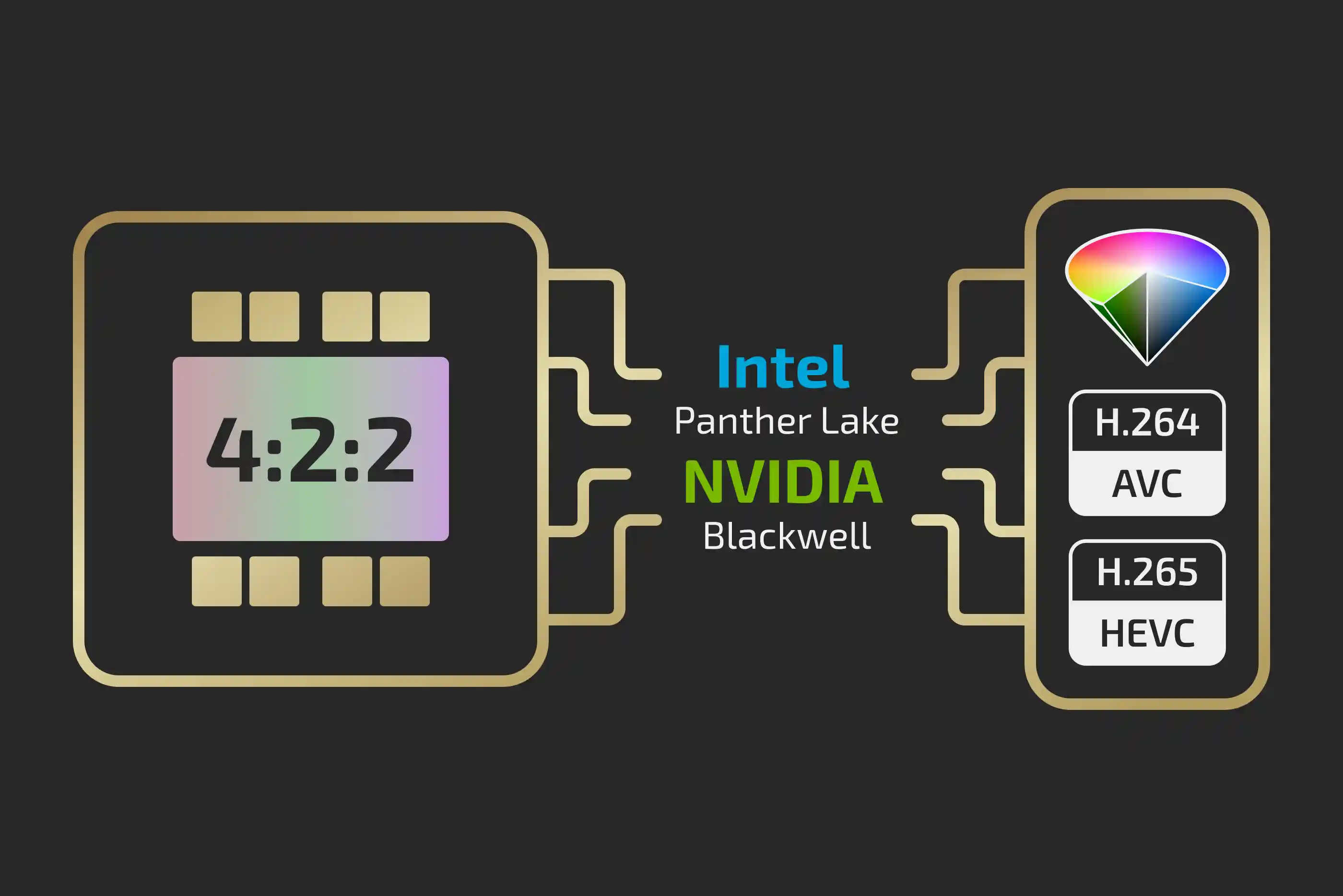 Diagram of a 4:2:2 chip linked through Intel Panther Lake and NVIDIA Blackwell to H.264 AVC and H.265 HEVC encoders.
