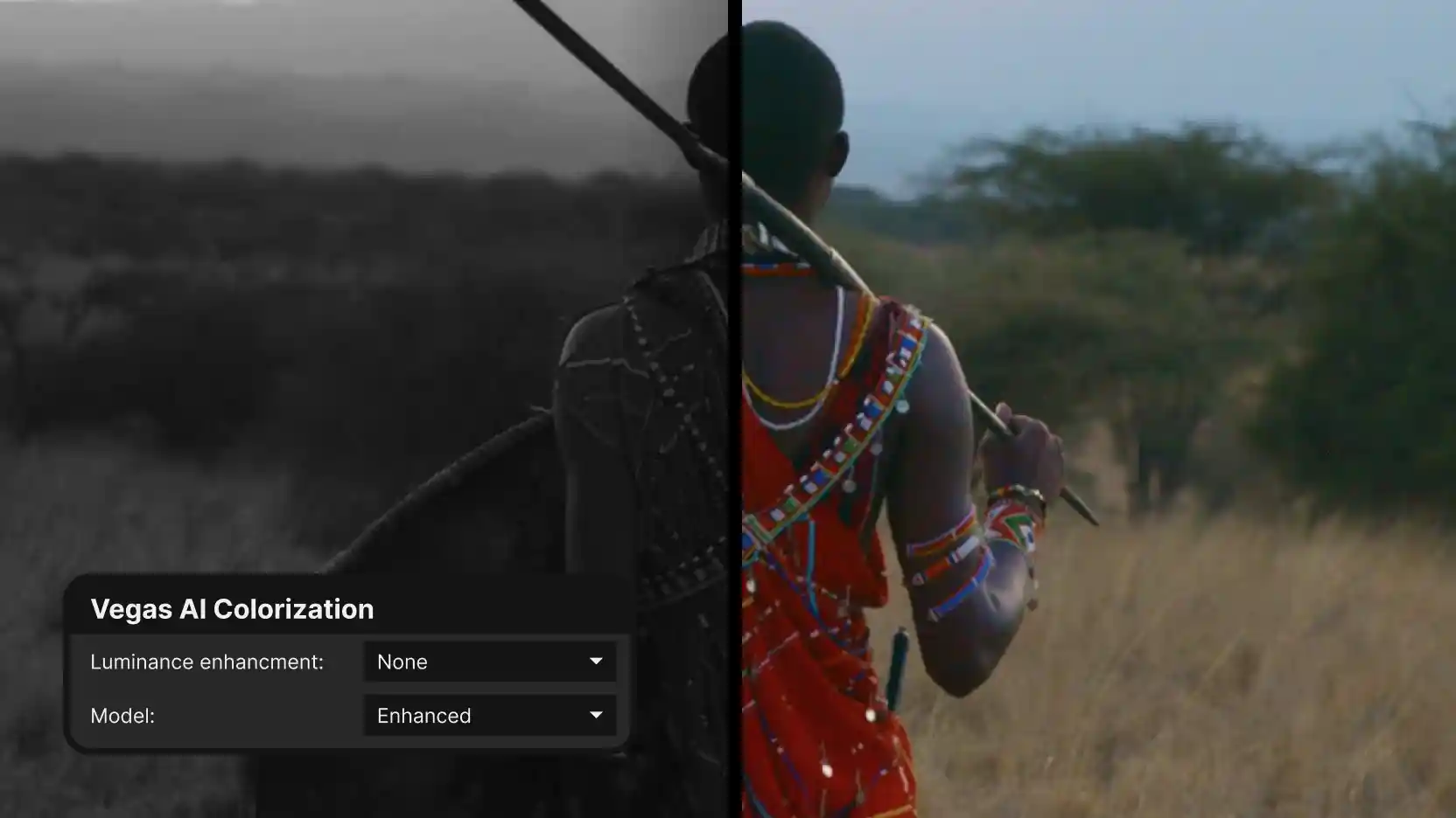 Split-screen of a Maasai man holding a spear in savanna grassland; left half black-and-white, right half in full color, with a 'Vegas AI Colorization' panel (Luminance enhancement: None, Model: Enhanced).